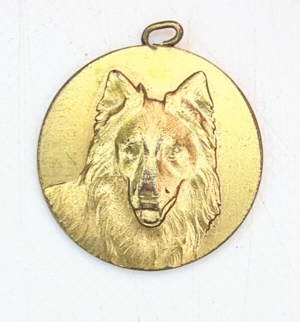 MEDAILLE Syndicat D'Elevage du HAINAUT BELGIQUE  EBM90117